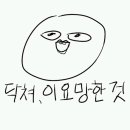 장미포차 - 아산시 | 장미포차