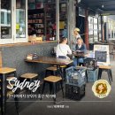 조은생각 BOOK CAFE | [호주 시드니] &#39;Gertrude &amp; Alice Cafe Bookstore&#39; | 본다이비치 분위기 깡패 북카페 추천