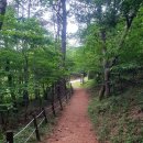 옥림 유아숲체험원 네이버블로그