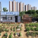 솔이농장 이미지