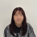 세미헤어모드