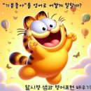 [공지] 기분이 좋아 영어로? ‘I’m happy’만 쓰면 초보 티나요!