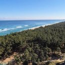 차칸밥상 이미지