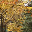 만수4동-9 이미지