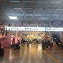 ㈜제주다움렌트카 | 제주 렌트카 제주다움렌트카 가격 탐나오 예약 내돈내산 후기