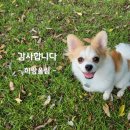 하랑본점 이미지