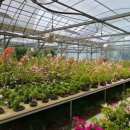 수광농장 이미지