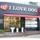 아이러브독 강아지 부천점 이미지