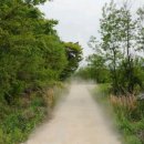 주생면 낙동마을 이미지