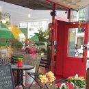 빨간창꼬 이미지