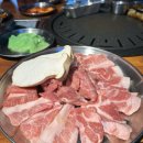 제주, 도남돼지 / 제주시 흑돼지 맛집 특수부위