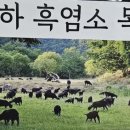 옥천목장 이미지