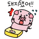 해궁통술