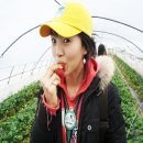 항구목장 이미지