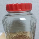 동양주 이미지
