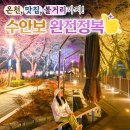 수안보면 장터2길 17, (온천리) | [공지] [수안보 여행코스] - 온천, 맛집, 볼거리까지 한번에 완전정복!