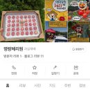 진도체리원