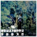 뾰로롱 인형뽑기 | [애월 실내 가볼만한 곳] 아이랑 제주 미디어아트 전시 아이바가든 포토존 주차