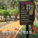 사하구 강변대로 | 부산 사하구 맨발황톳길 산책후기