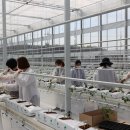 푸르메농장 이미지