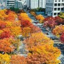 부산시청 이미지