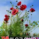 " 느낌 " 이미지