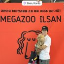 (주)채널펫 | 일산 갈만한곳 메가주 2026 펫페어 후기