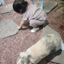 이지21 | 아기 걸음마 신발 후기 올드솔 이지조거 20사이즈 vs 가브리엘21사이즈 비교