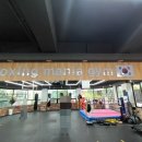 BMG 복싱 이미지