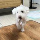 도은야식 | 림다링 일상 이모저모💭#6 "추석연휴" 더도 말고, 덜도 말고, 한가위날만 같길.. 💕🌕✨ (가지마 추석...