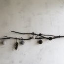 모닥 이미지