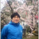 매화농장 이미지