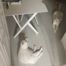 涙が溢れそうになるのは何故