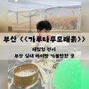 어린이 체험전 「가루나무모래흙」 | 이영란의 감성체험 <<가루나무모래흙>> 부산 다녀온 후기 / 부산 아이랑 가볼만한 곳 / 21년생 아이랑