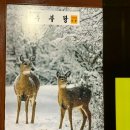 두부랑두루치기 네이버블로그