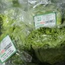 둥구머리협동조합 이미지