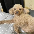 지에스25 외대경희점 이미지