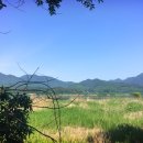 아주과학 이미지