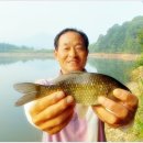 모기없고 물맑은 덕산의 청정지역 무명 소류지에서 이미지