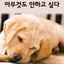 안녕하세요 이미지