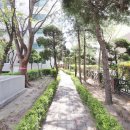 진달래공인중개사사무소 이미지