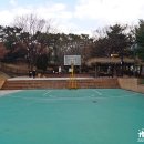 수원올림픽공원 티스토리