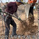 더큰나무 이미지