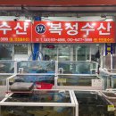 대천항수산 이미지