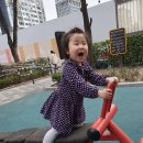 금성어린이공원 이미지