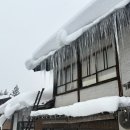 푸파501 | 나고야 3박4일 여행 마지막 산타마을 시라카와고 후기(아츠타호라이켄, 하브스 후기 등)