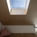 호미양양 이미지