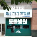 빌리브동물병원 이미지