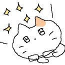 도레도레김포현대몰 이미지