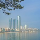 KJ 행정사 이미지